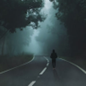 Meet your Posher, Dawson